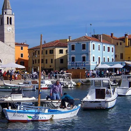 Anemona And Solea
