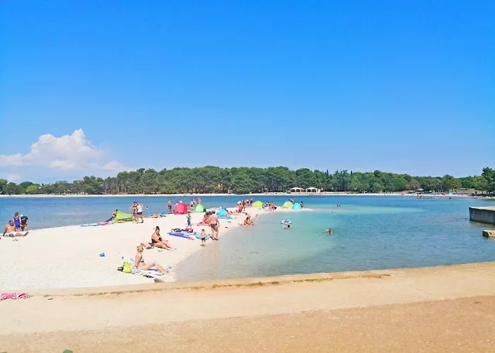 Daire Anemona And Solea