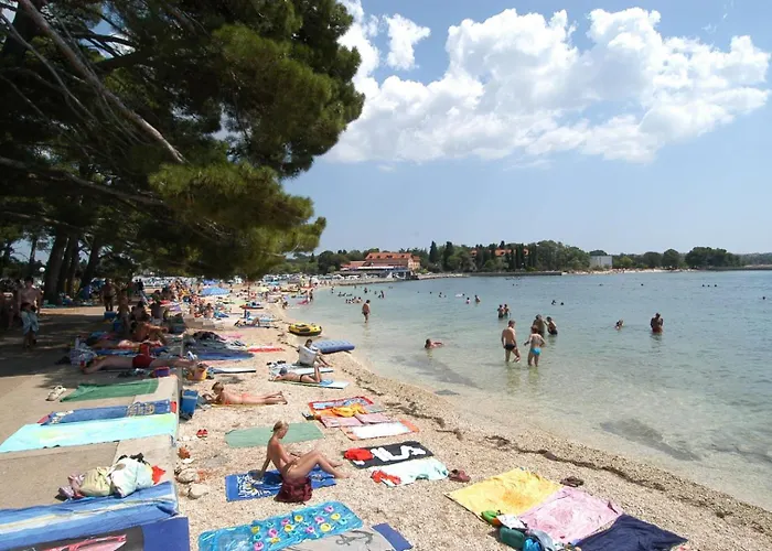 Anemona And Solea * Valbandon