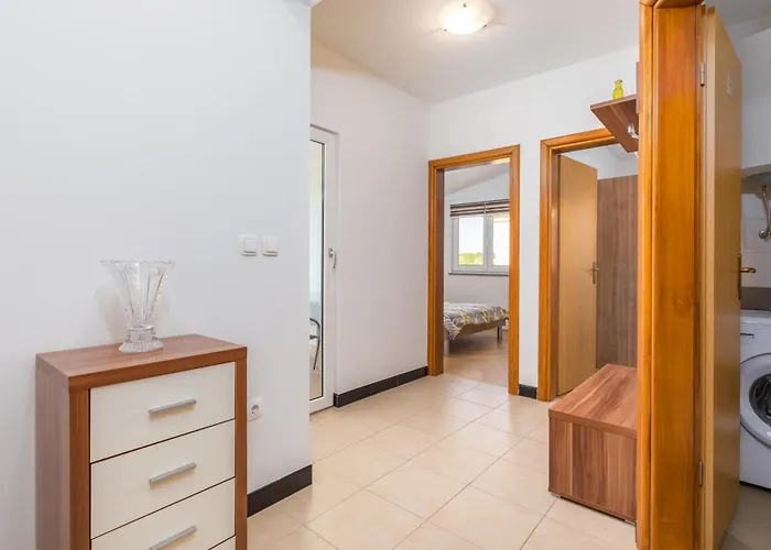 Anemona And Solea Daire