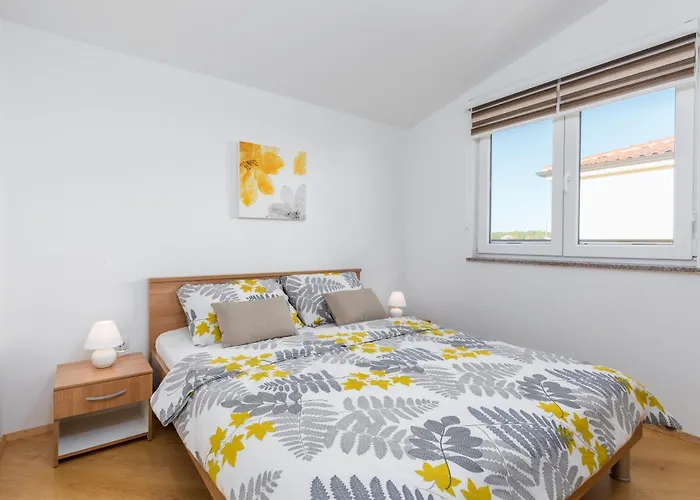 Anemona And Solea Daire *