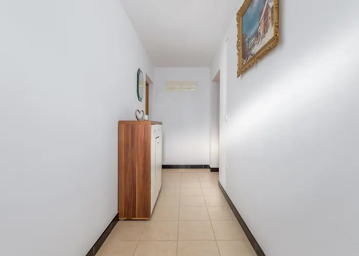 Anemona And Solea Daire *